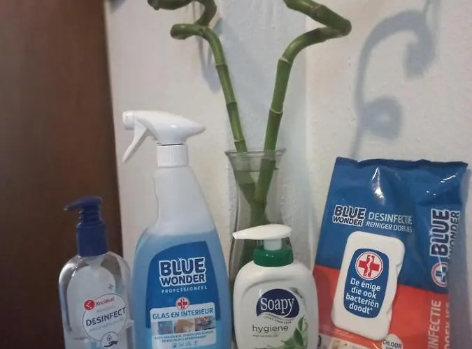 Nocleg ze śniadaniem Schuttershof - Adults Only Heerlen